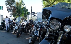 Relais pour la vie en Harley Davidson
