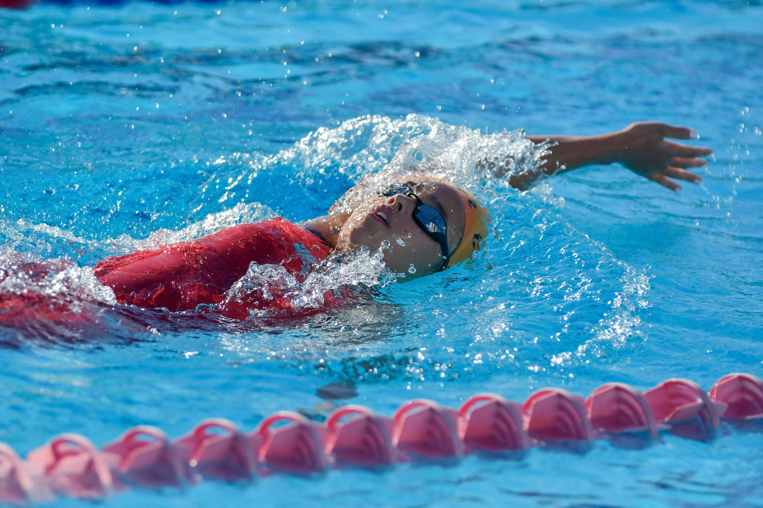  ? Meeting de natation de l’océan Indien au Chaudron: Les performances au rendez-vous