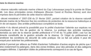 IrreverSEAbles: Tous les indicateurs sont au vert pour des prélèvements de requins