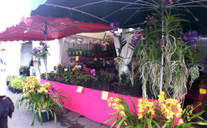 La 36ème foire de Bras-Panon ouverte!
