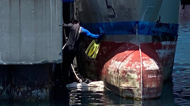 Quinquagénaires portés disparus: Deux corps retrouvés dans la darse du Port