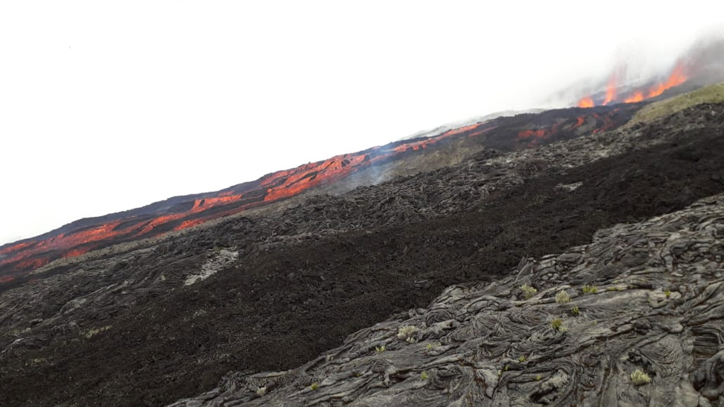 Piton de la Fournaise : Les premières images de l'éruption