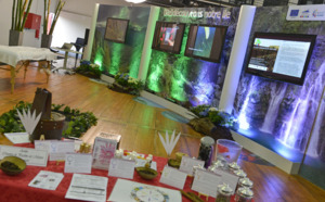 Le Salon