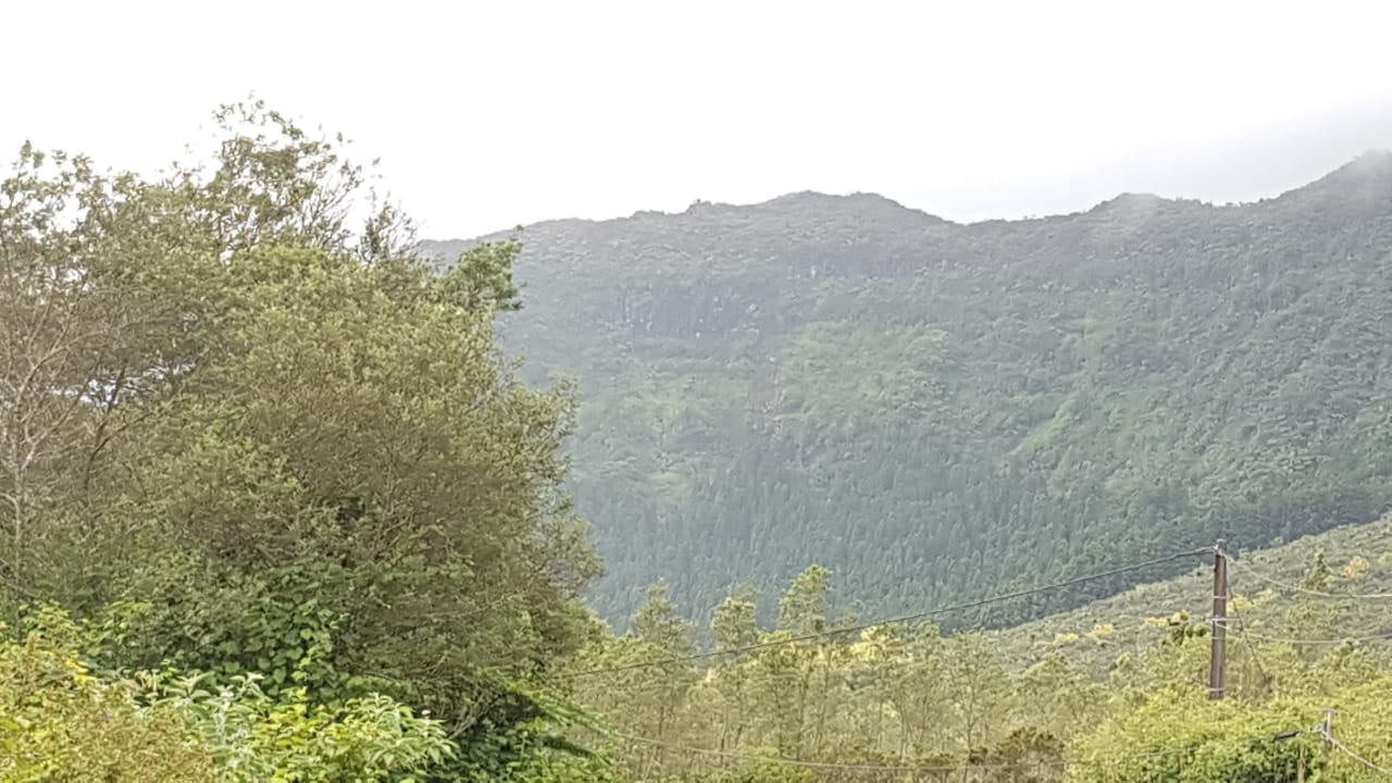 Plaine des Palmistes : Un pan de falaise se détache