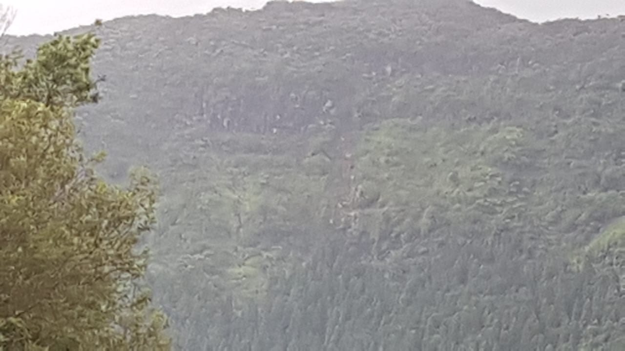 Plaine des Palmistes : Un pan de falaise se détache