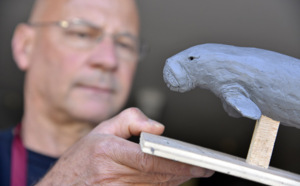Le Muséum d'Histoire Naturelle s'enrichit d'un dugong