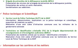 Les acteurs de la sécurité intérieure feront le show ce samedi à St-Pierre