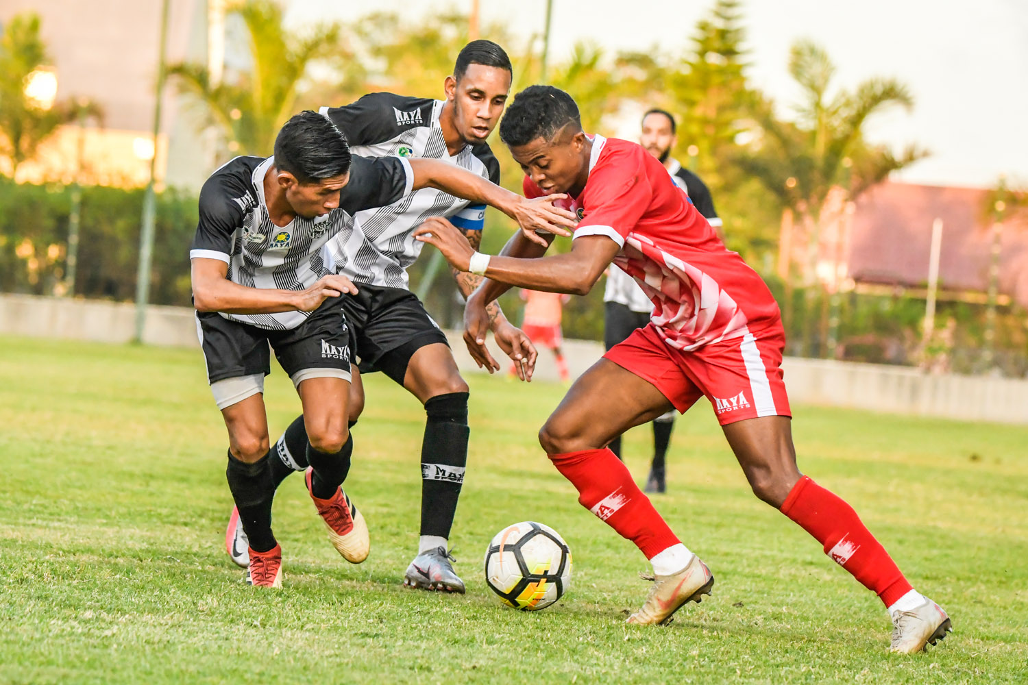 Football: Indétrônable Saint-Pierroise