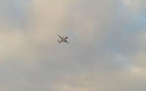 Important feu dans la savane du Cap La Houssaye, le Dash 8 est sur place