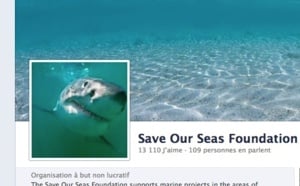 Le lobby pro-requin a réussi son coup au séminaire requin !
