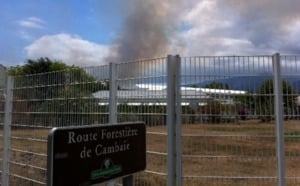 St-Paul: Feu de broussailles à Cambaie, le Dash8 appelé en renfort