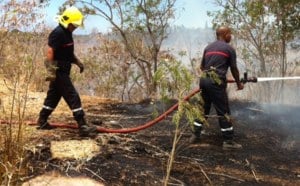 St-Denis: Incendie dans le lit de la Rivière des Pluies