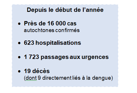 L'épidémie de dengue toujours à la baisse