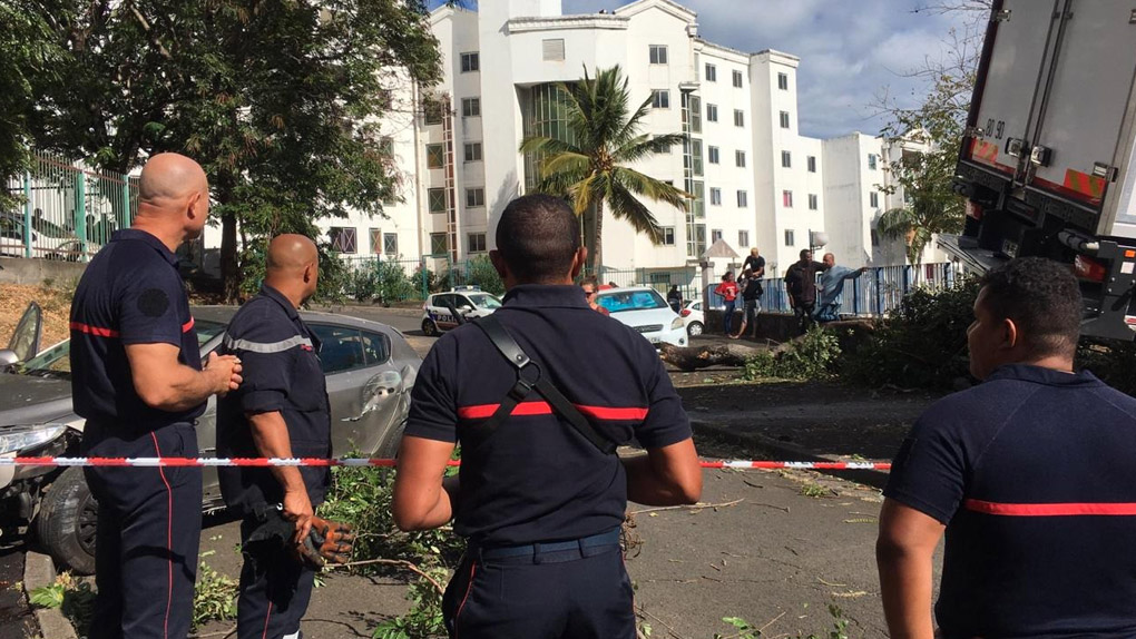 Moufia : Un camion de livraison arrache tout sur son passage 