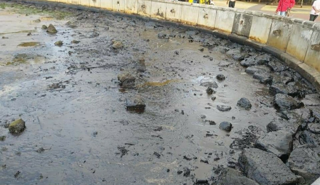 Île Maurice: La marée noire atteint la côte