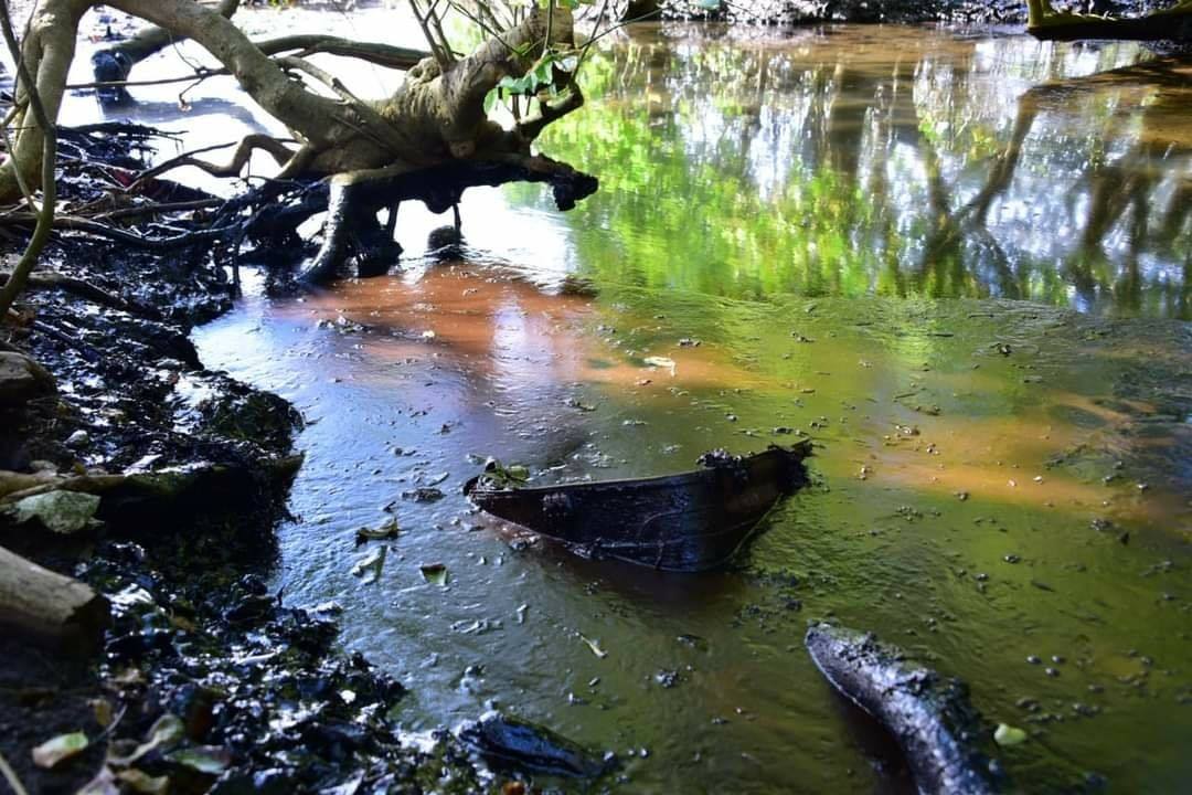 Île Maurice: La marée noire atteint la côte
