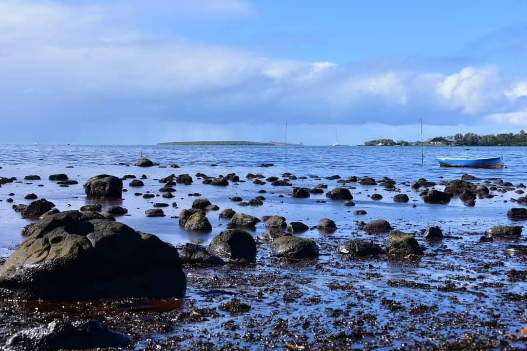 Île Maurice: La marée noire atteint la côte