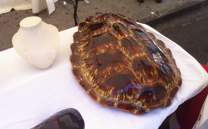 Escale à Saint-Denis pour découvrir le meilleur de l'artisanat péi