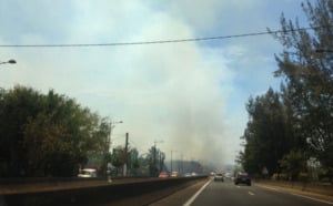 Deux feux de broussailles à Saint-Denis