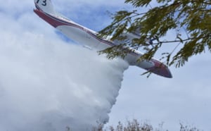 Retour en images sur l'incendie de la Jamaïque