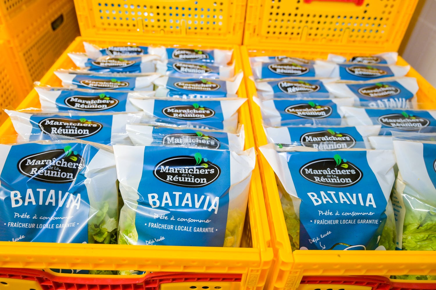 La famille Grondin ou la valorisation du maraichage local