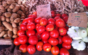 Le prix des tomates en hausse, mais pourquoi?