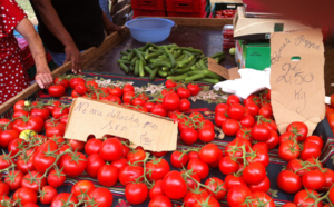 Le prix des tomates en hausse, mais pourquoi?