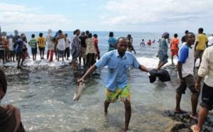 Crash aux Comores : 