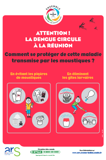 Lutte contre la dengue : démoustications nocturnes à La Possession et Saint-Paul