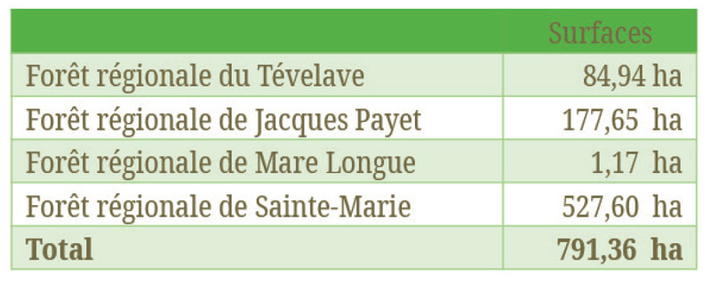 Travaux de sécurisation de la route forestière du Haut Mafate à Salazie