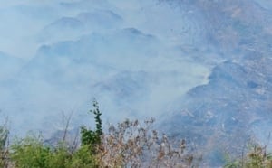 Saint-Denis : Retour en images sur l'incendie de la Jamaïque