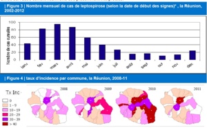 En 2012, 74 cas confirmés de leptospirose