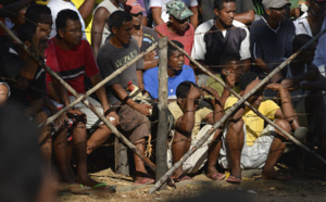 Combats de coqs, une tradition ancestrale à Madagascar