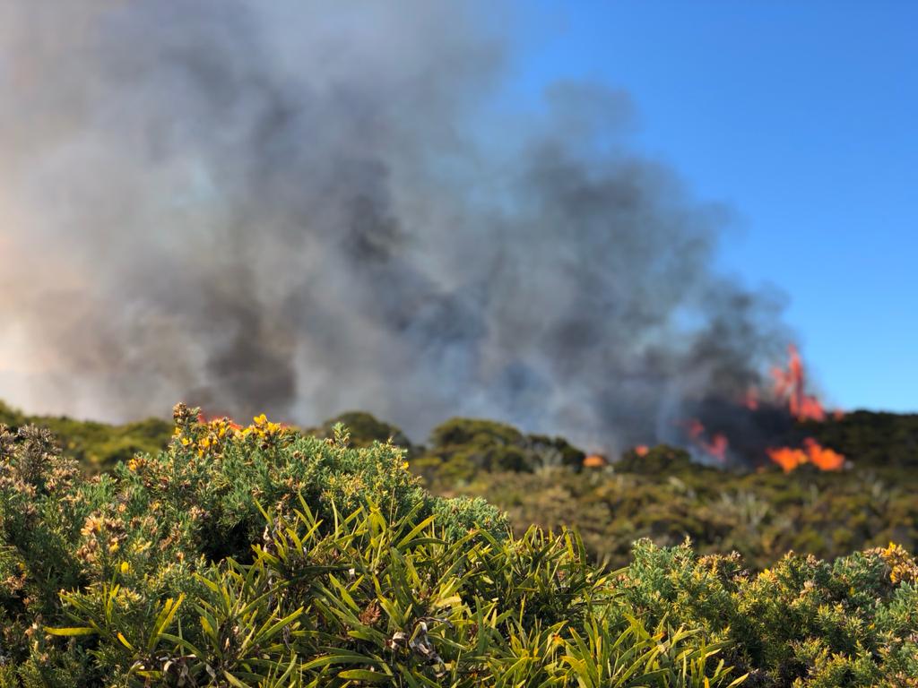 Photos et vidéo - Incendie au Maïdo : Un important dispositif des pompiers déployé 