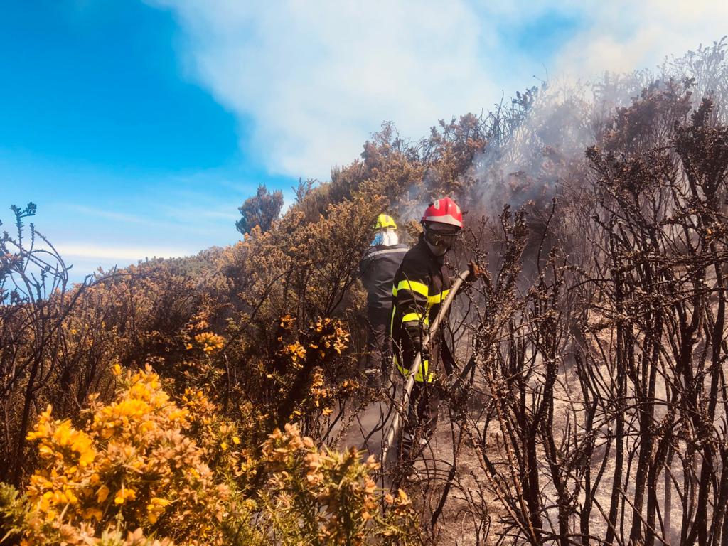 Photos et vidéo - Incendie au Maïdo : Un important dispositif des pompiers déployé 