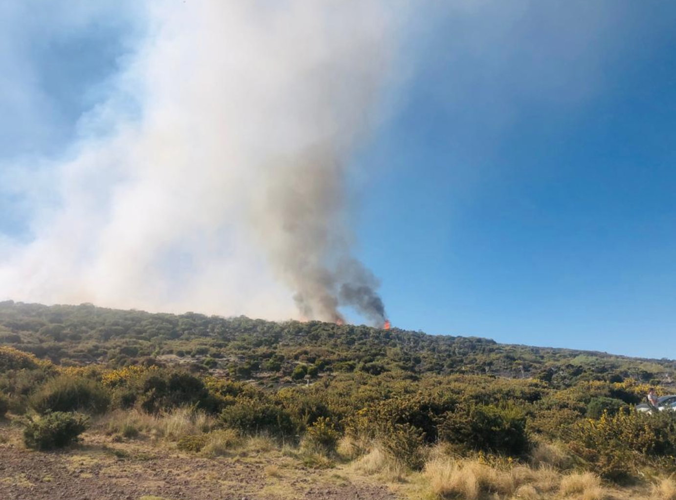 Photos et vidéo - Incendie au Maïdo : Un important dispositif des pompiers déployé 