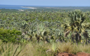 Madagascar : Majunga, une ville préservée