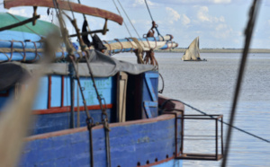 Le port aux boutres de Majunga