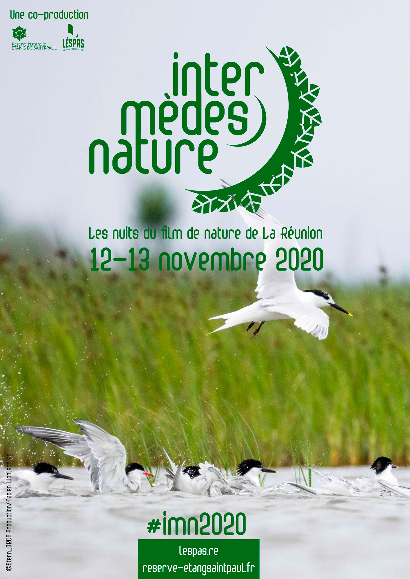 Deuxième édition des « Intermèdes Nature » à Lespas Leconte de Lisle