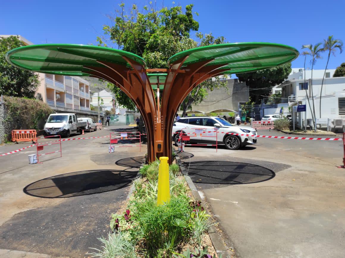 Vidéo - L’arbre solaire, l’énergie propre made in Réunion