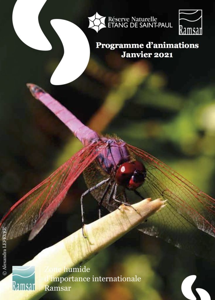 Retrouvez les animations des vacances pour le mois de janvier 2021 à l’Étang de Saint-Paul !