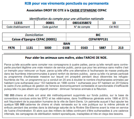 Besoin de soins intensifs pour cette chienne en grande souffrance