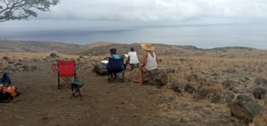 Découvrez, sans plus tarder, le planning des ateliers Savane pour le mois de février !