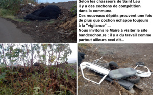 Dépôts sauvages : Bandcochon tacle Thierry Robert