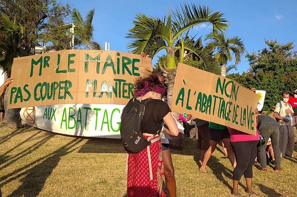 Création d’une nouvelle route à Casabona : Extinction Rébellion se mobilise pour sauver une quinzaine d’arbres