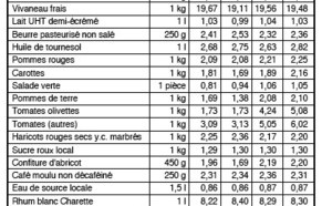 Les produits pétroliers ont provoqué une forte hausse des prix en mars 2013