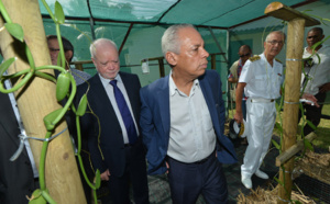 Lurel visite une coopérative de vanille à Bras-Panon