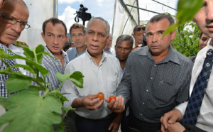 A Salazie, Victorin Lurel a goûté aux produits péi