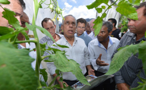 A Salazie, Victorin Lurel a goûté aux produits péi