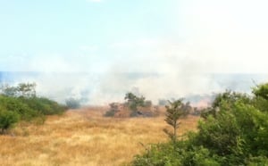 Feu de broussailles sur les rives de la Rivière des galets